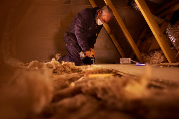 Best Eco-Friendly Insulation in Dover, TN